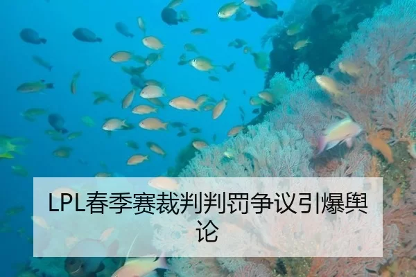 LPL春季赛裁判判罚争议引爆舆论