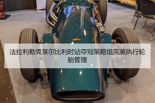 fa-la-li-lei-ke-lai-er-bi-li-shi-zhan-duo-guan-ce-lve-zu-wan-mei-zhi-xing-lun-tai-guan-li-3-493.jpg
